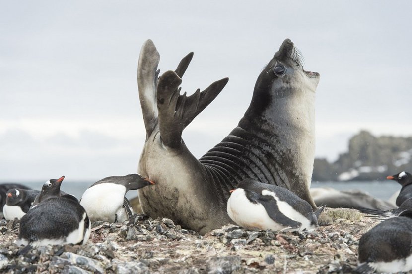 圖片來源：dailymail