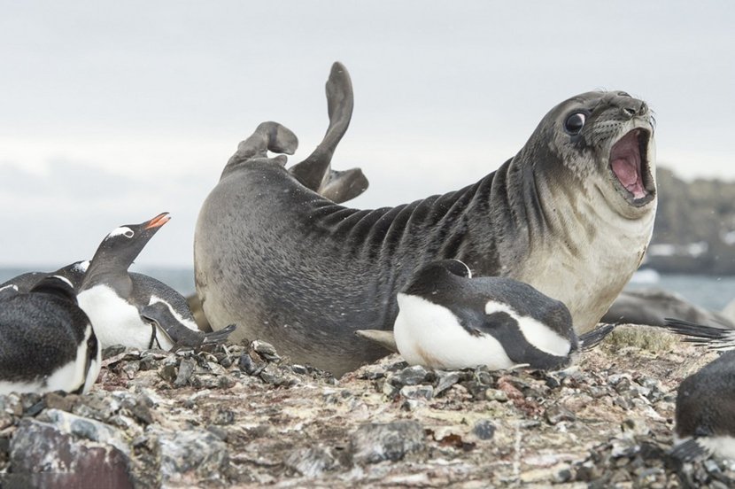 圖片來源：dailymail