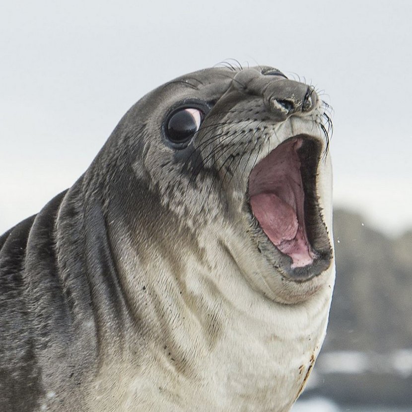 圖片來源：dailymail