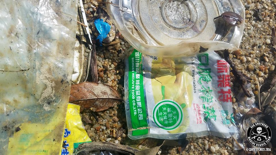 圖片來源：Sea Shepherd Hong Kong