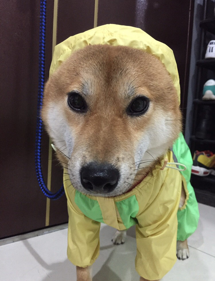 圖片來源：Dcard 