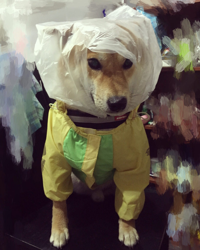 圖片來源：Dcard 