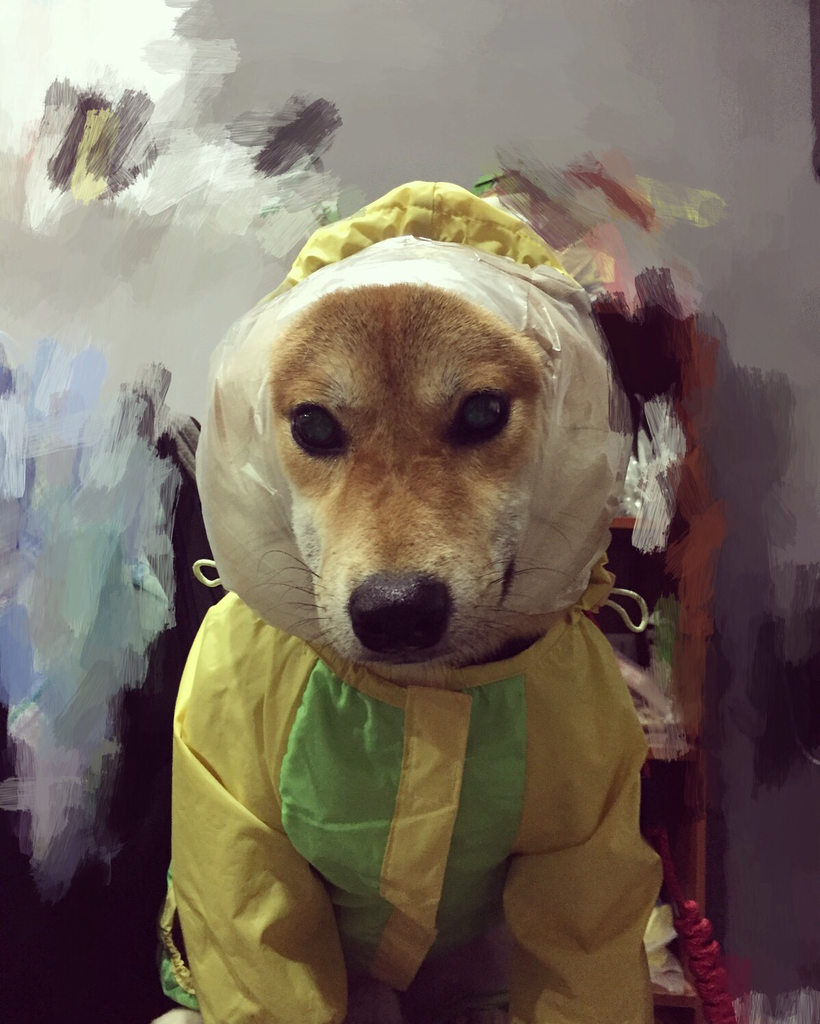 圖片來源：Dcard 