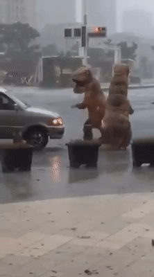 圖片來源:Chang Carol