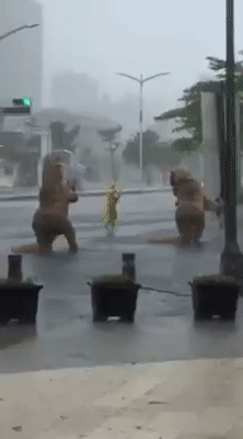 圖片來源:Chang Carol