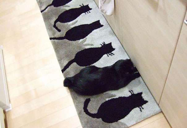 圖片來源：twitter