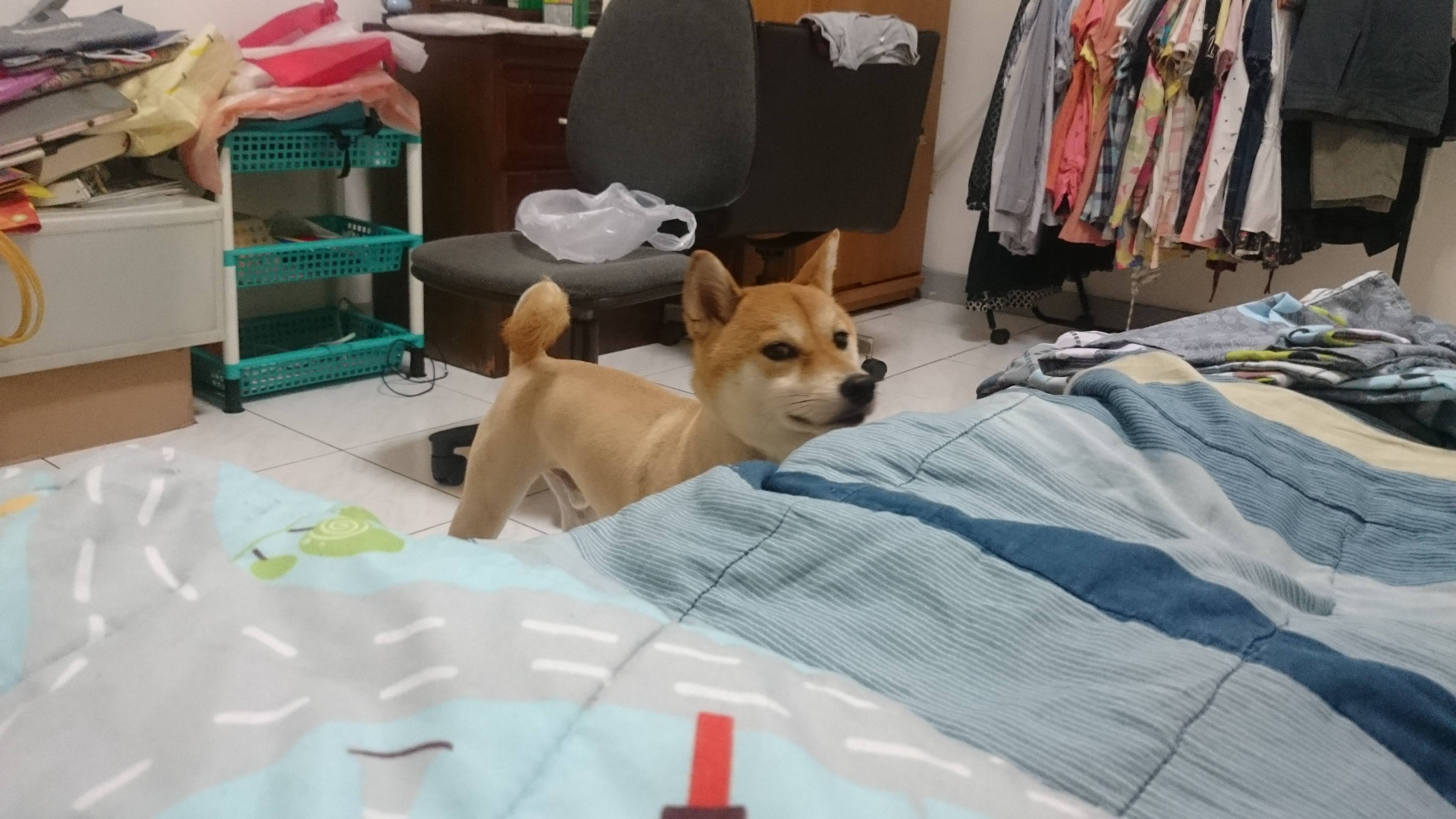 圖片來源:jack168168tw/PTT