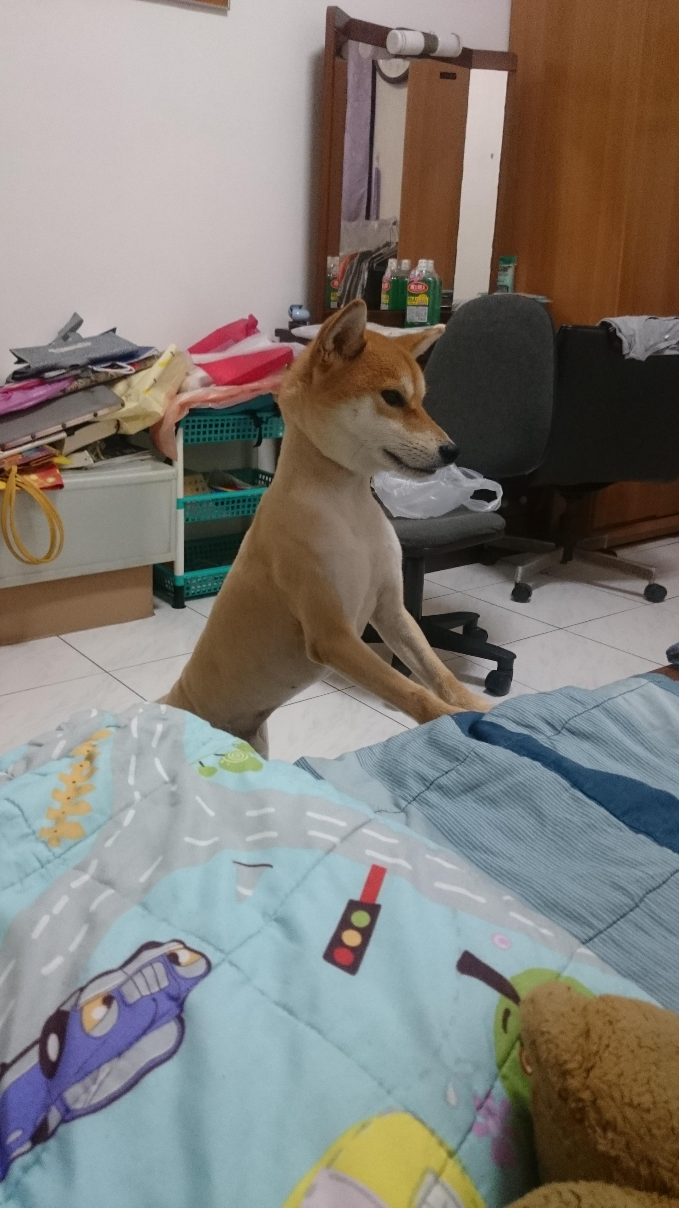 圖片來源:jack168168tw/PTT