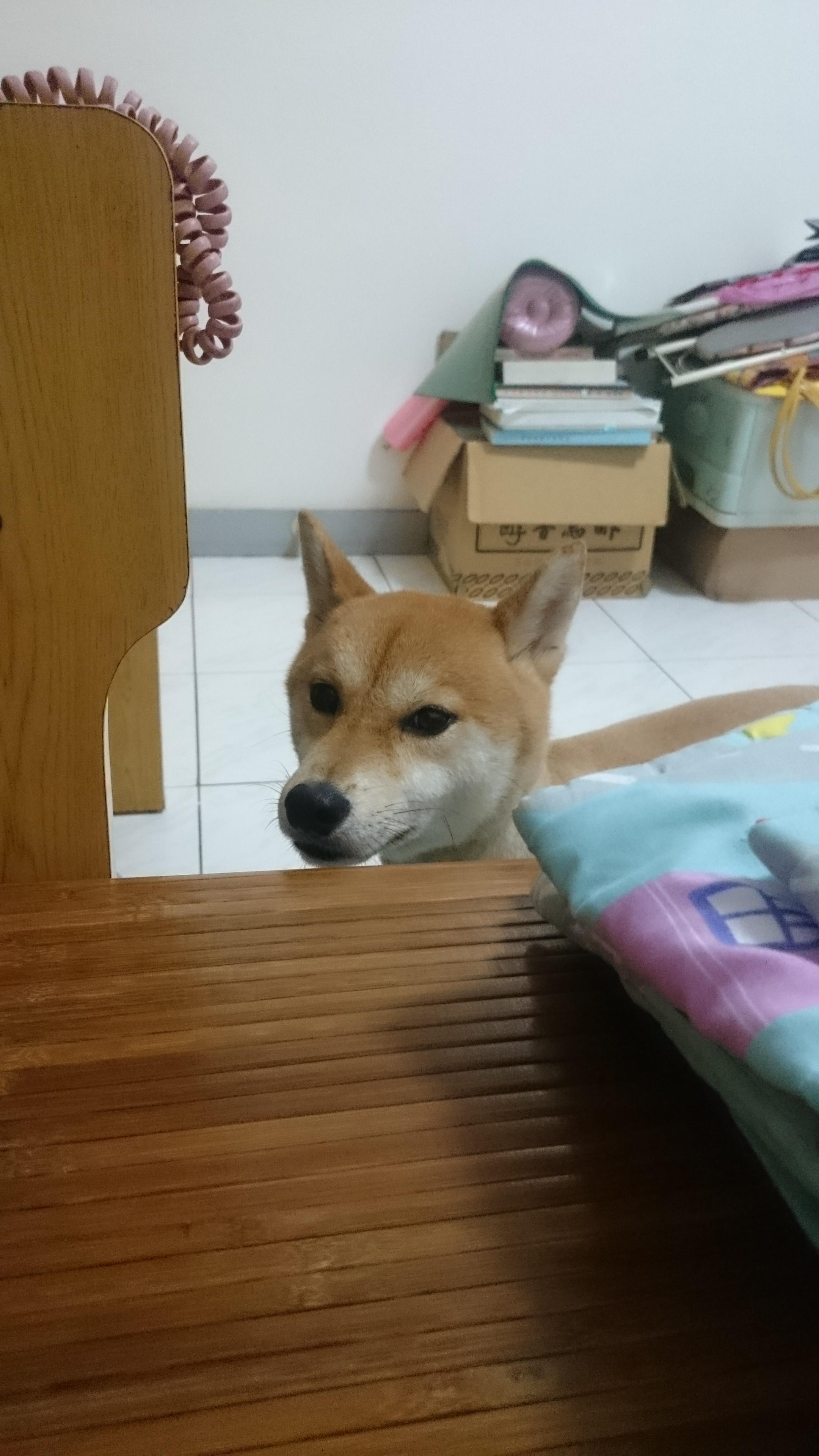 圖片來源:jack168168tw/PTT