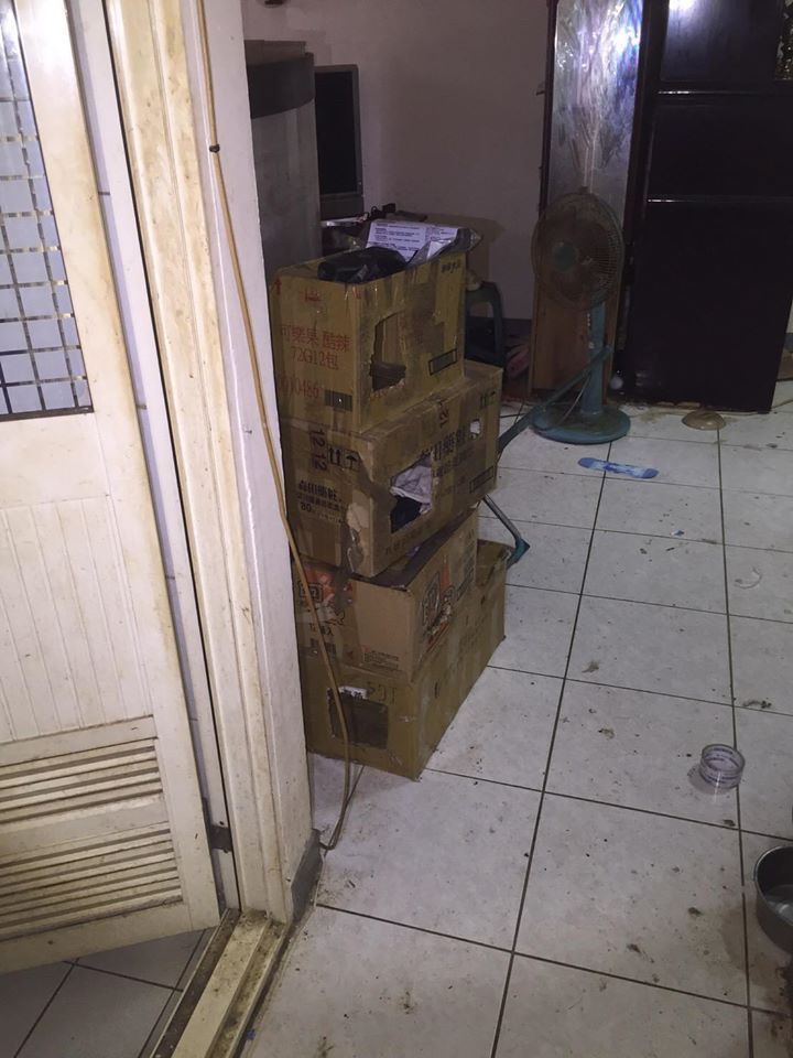 圖片來源：Da-Dai Hsu