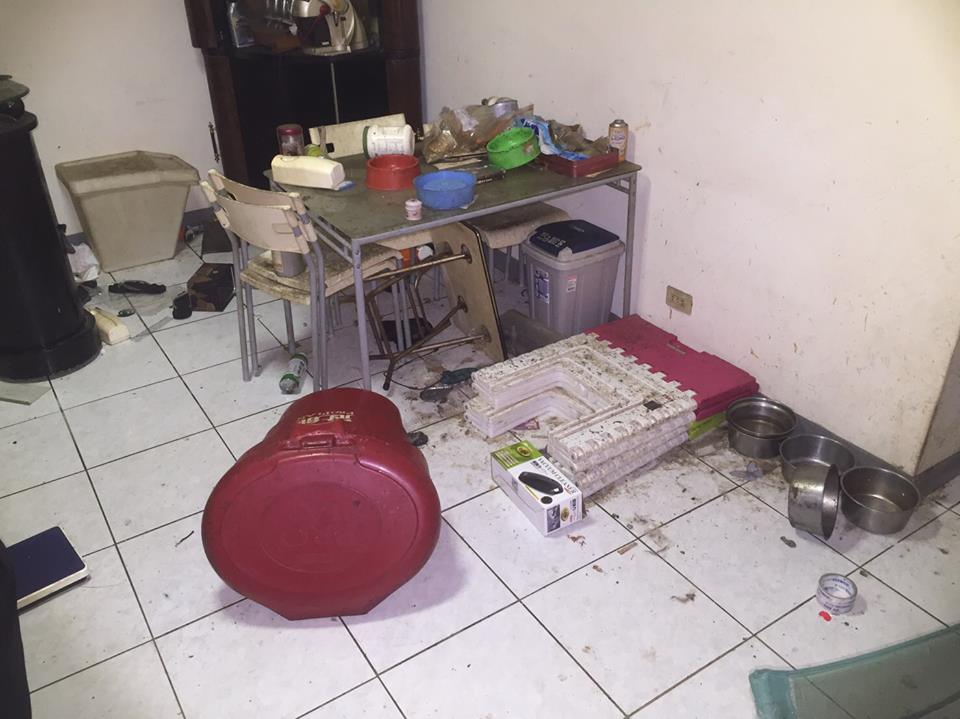 圖片來源：Da-Dai Hsu