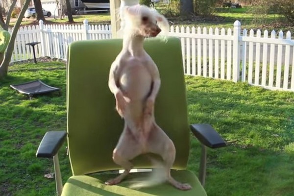 圖片來源:DancingNathan