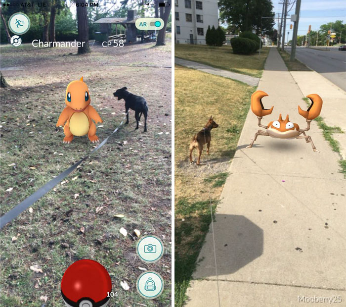  圖片來源： Trista Sydloski-Tesch、Kelsey Johnson