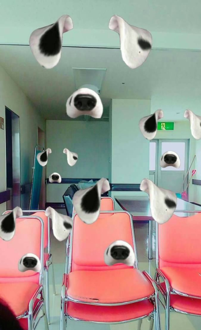 ​圖片來源：Mumei_kun_CAS／twitter