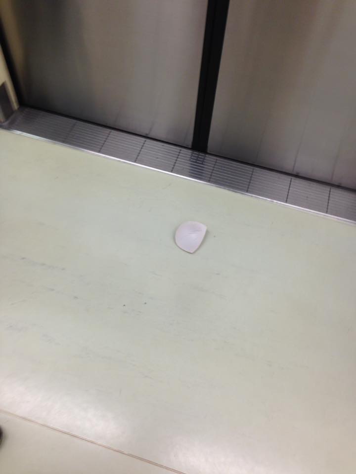 圖片來源: Wan Ting