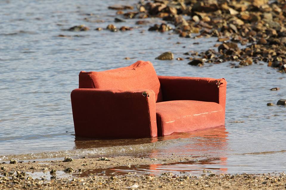 圖片來源:Bryan TO/馬鞍山之友