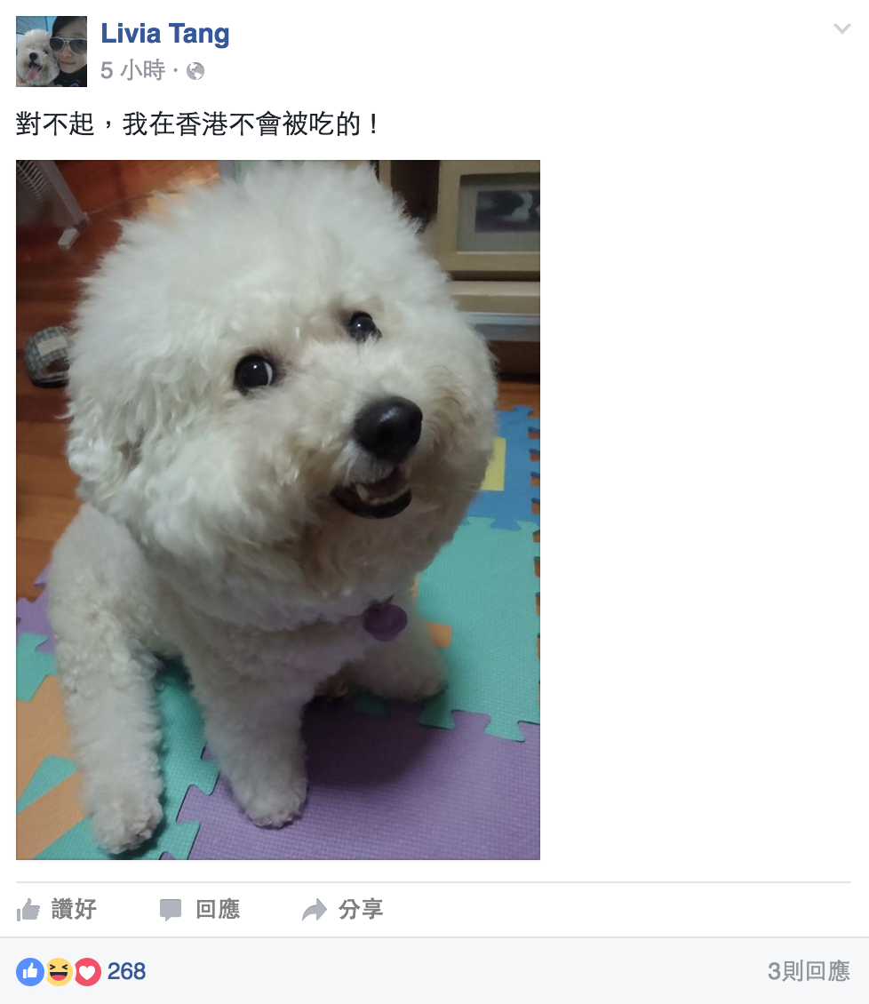 圖片來源：第一屆向中國道歉大賽