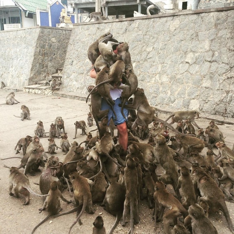 圖片來源：reddit