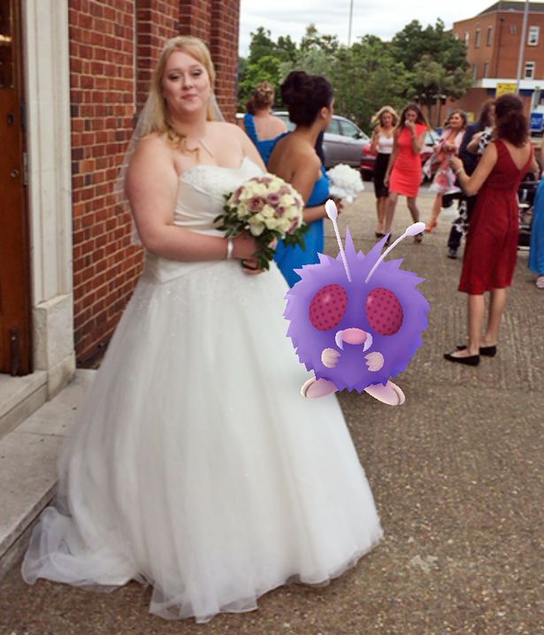 圖片來源：鏡報