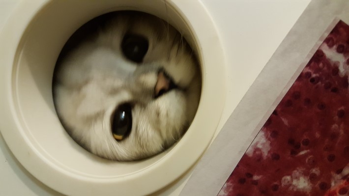 圖片來源: NAVER BBOOM