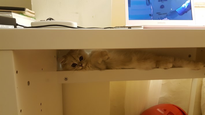 圖片來源: NAVER BBOOM