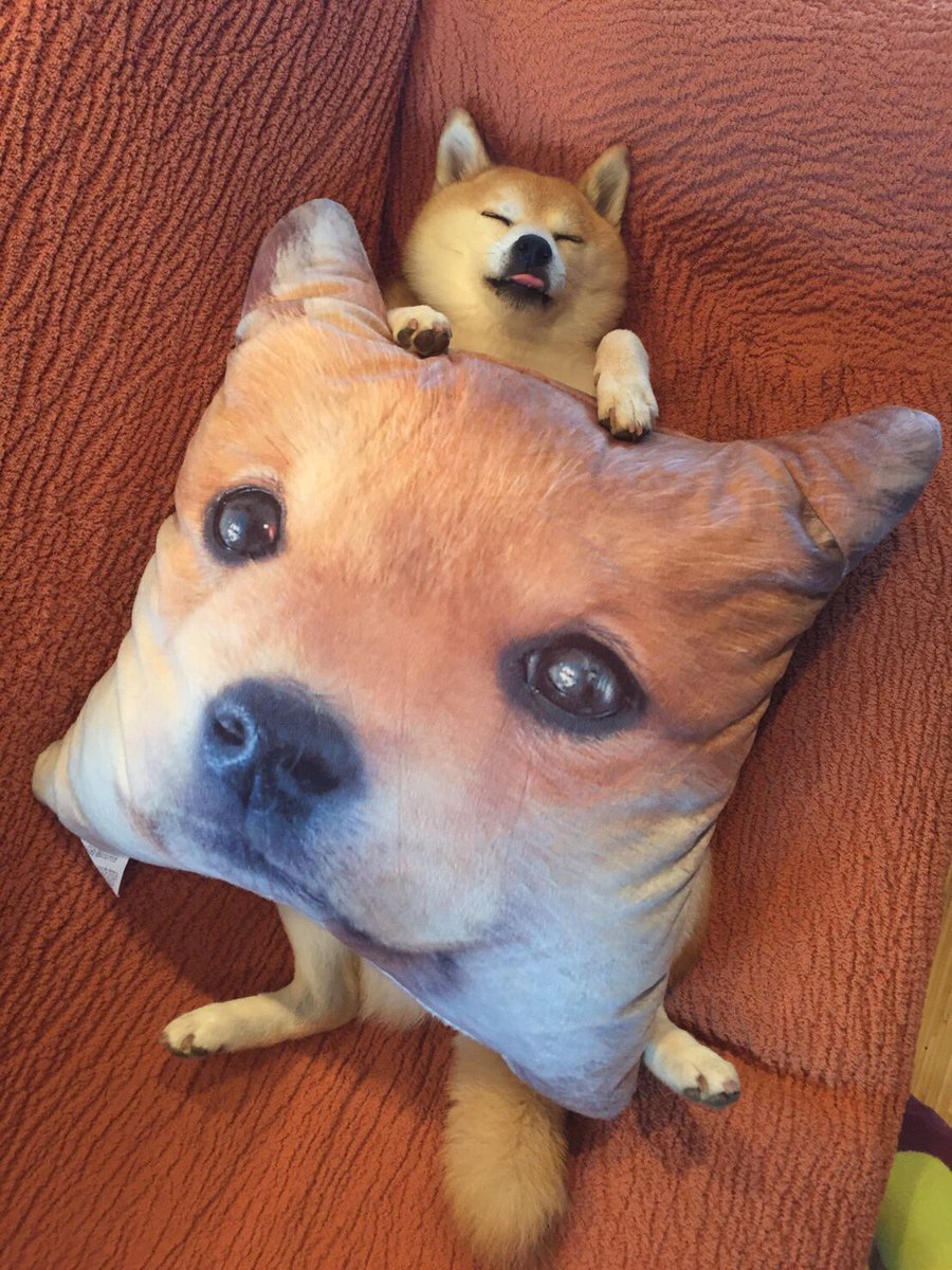 圖片來源：mesomeso1009／twitter