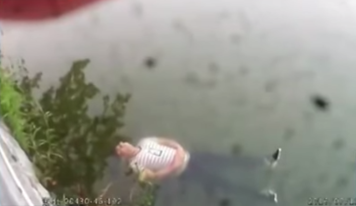 圖片來源:《北京衛視》截圖