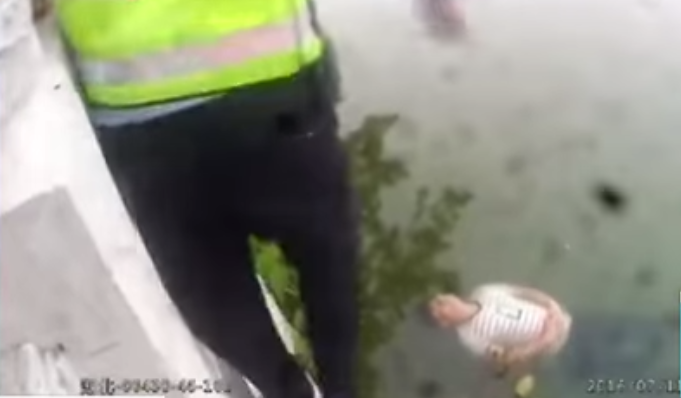 圖片來源:《北京衛視》截圖