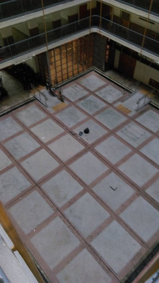 圖片來源：鄭嘉榮/Tai Po 大埔