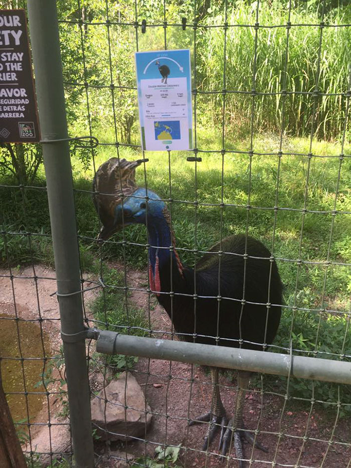 圖片來源:zookeeperproblems/tumblr