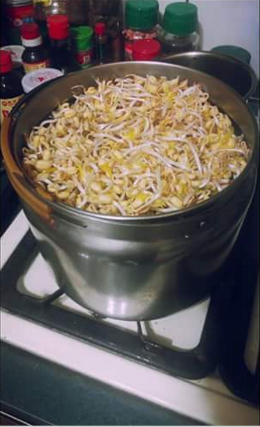 圖片來源：Miyahaha／ptt