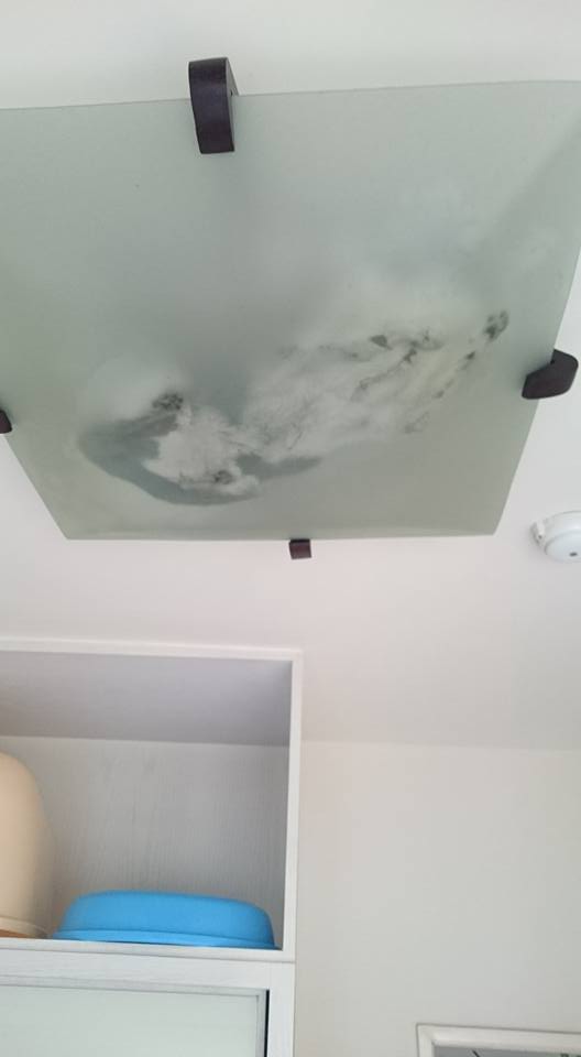 圖片來源:Liwing Lin/貓咪也瘋狂俱樂部 CrazyCat club