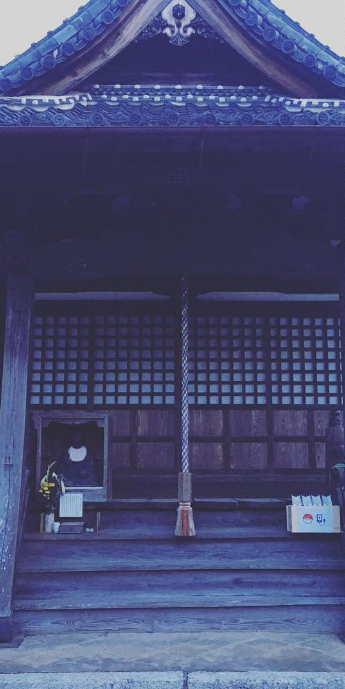 圖片來源：shiba3／instagram