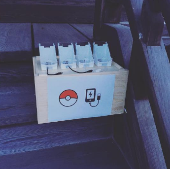 圖片來源：shiba3／instagram