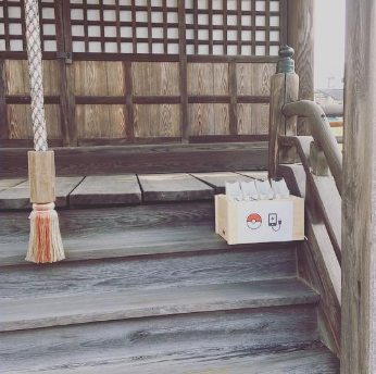 圖片來源：shiba3／instagram