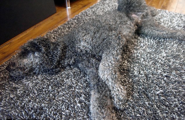 圖片來源:dailymail