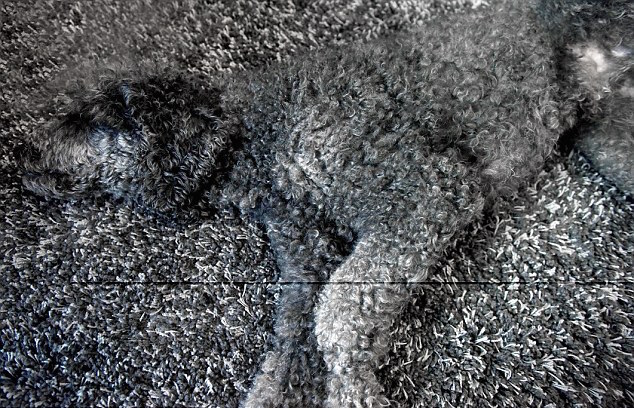 圖片來源:dailymail