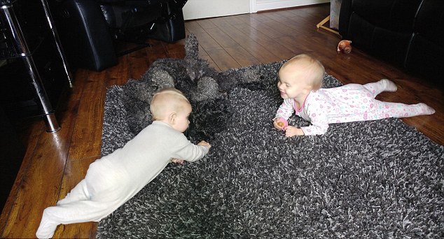 圖片來源:dailymail