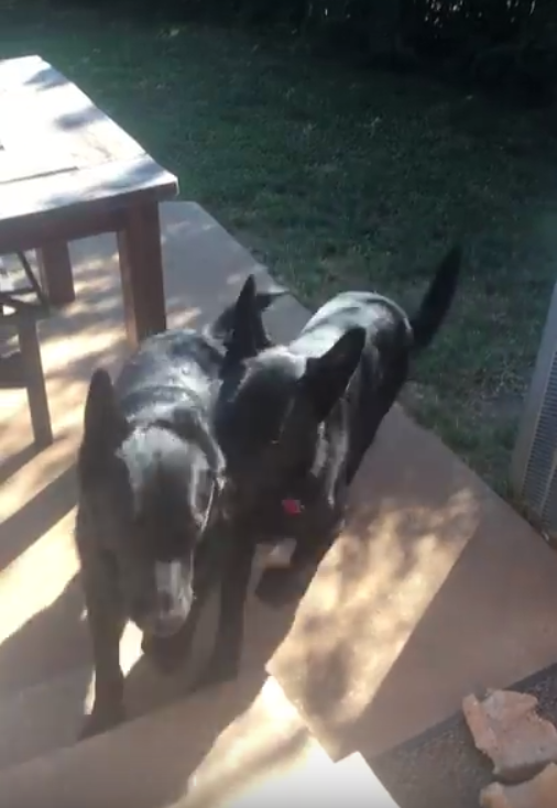 圖片來源:D Duff/youtube