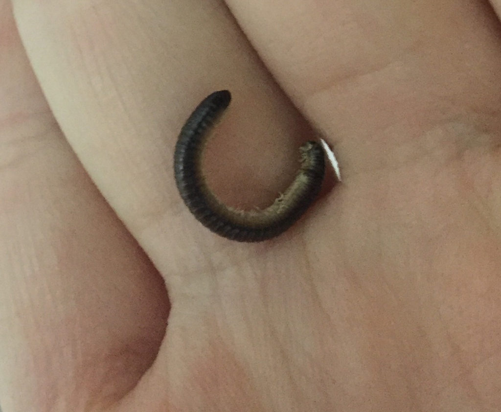 圖片來源：dcard