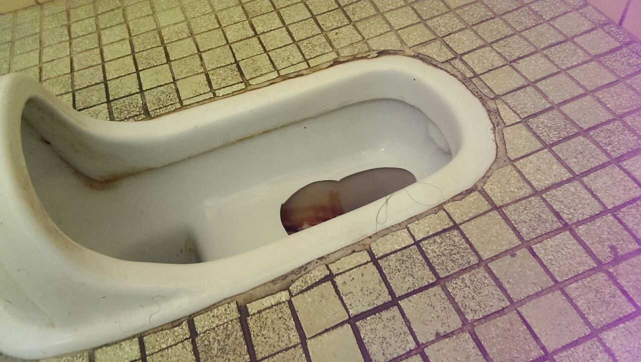 圖片來源:ARIH/PTT