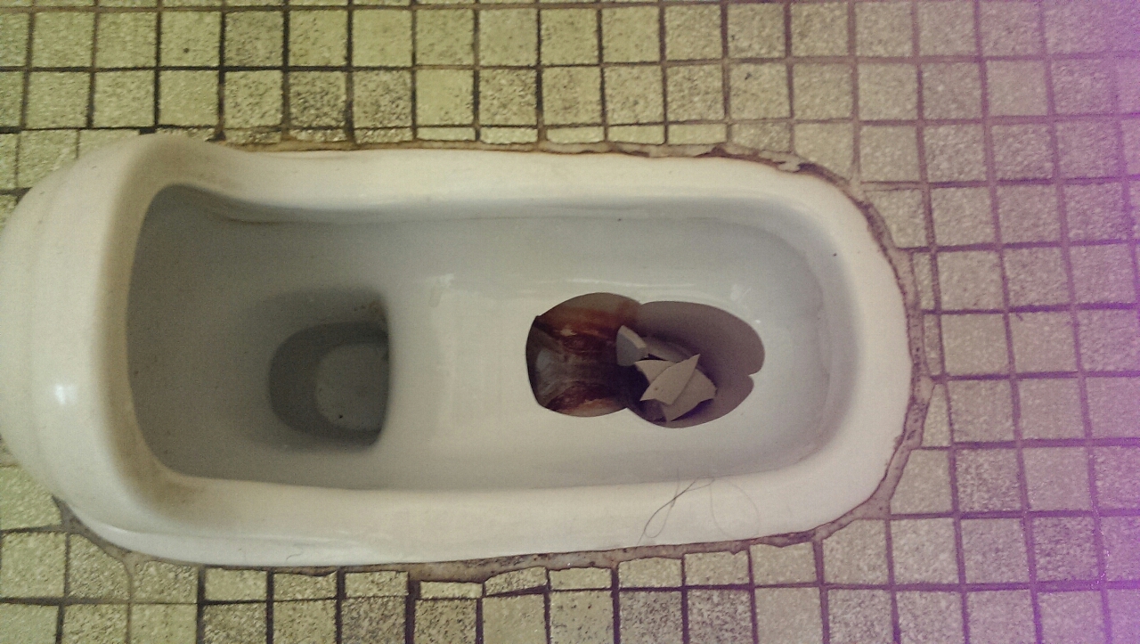 圖片來源:ARIH/PTT