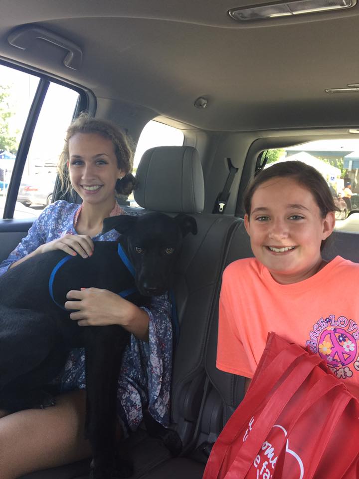 圖片來源:Fort Worth Animal Shelter