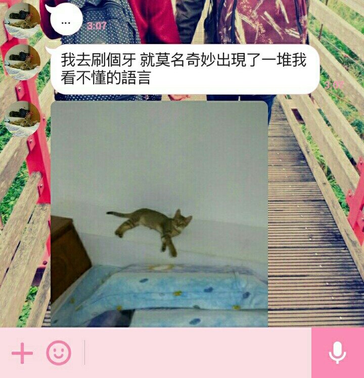 圖片來源：dcard