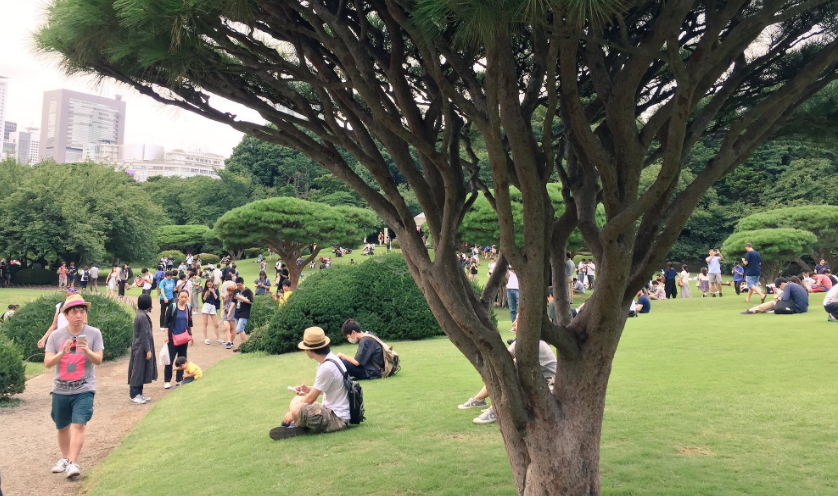 圖片來源：71phcat／twitter