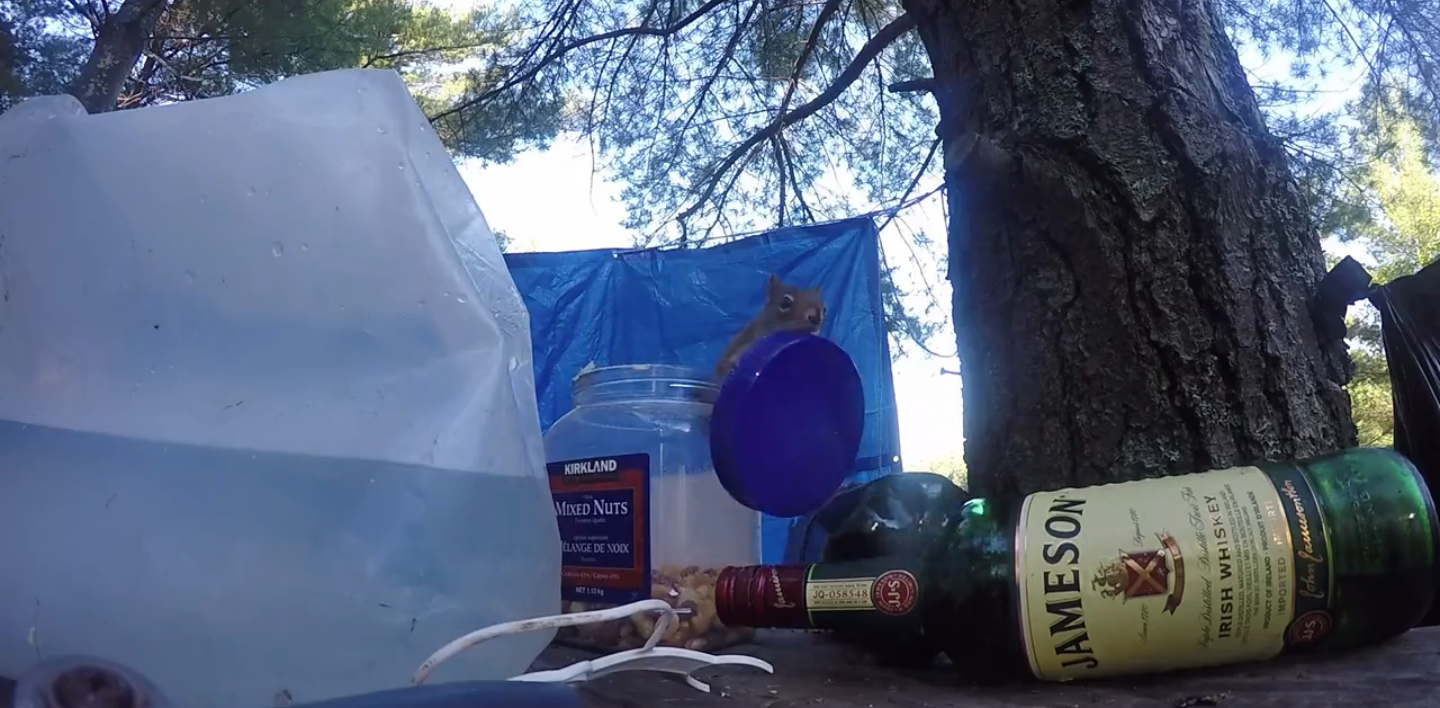 圖片來源: liveleak