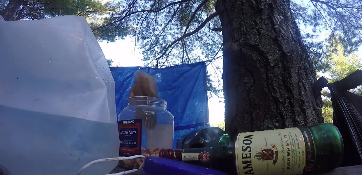 圖片來源: liveleak