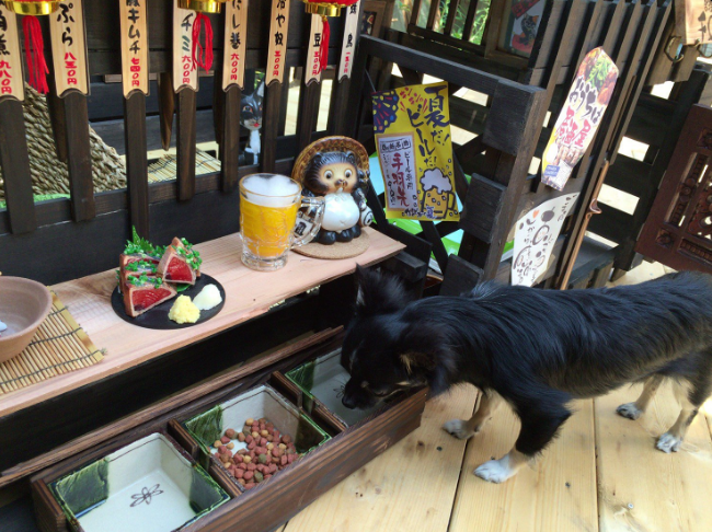 圖片來源:roxo0077/twitter