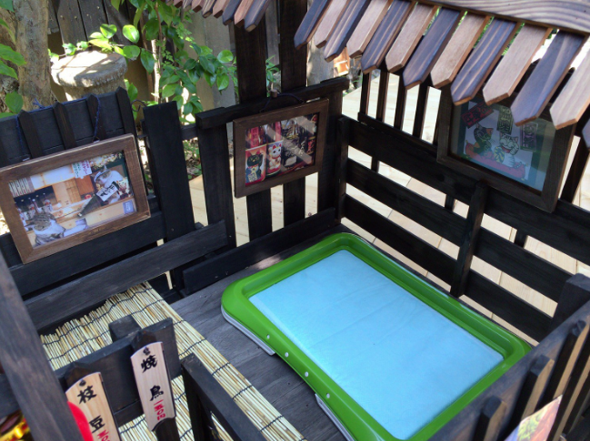 圖片來源:roxo0077/twitter