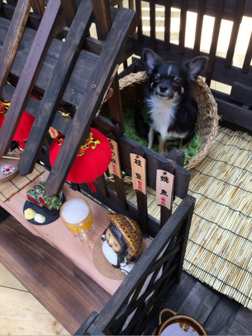 圖片來源:roxo0077/twitter